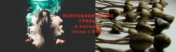эйфоретик Лиски