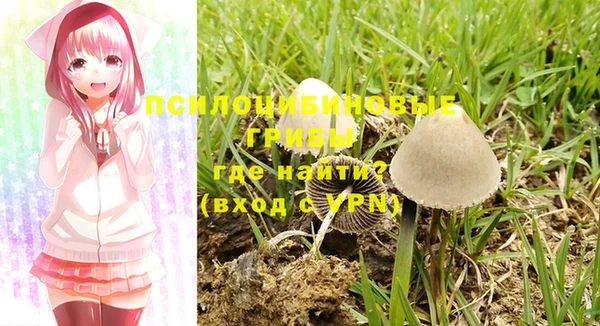 бутик Богданович