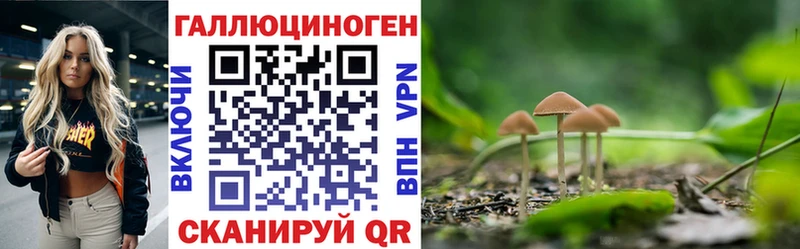 Купить где  Баймак  Галлюциногенные грибы MAGIC MUSHROOMS 